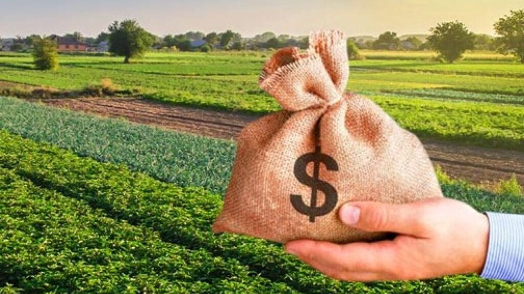 Не платил аренду: на Стрыйщине фермера суд заставил вернуть землю