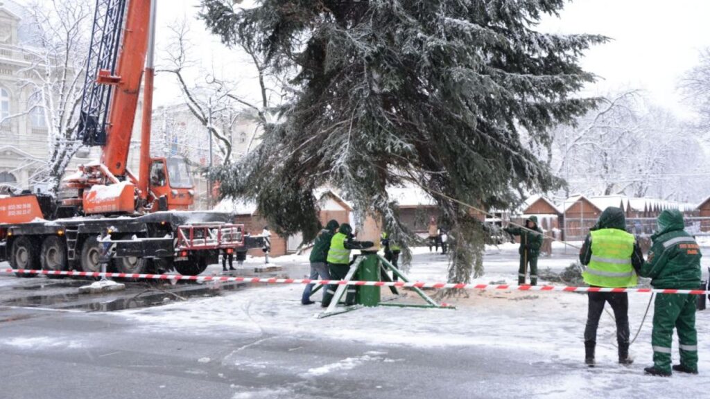 Назвали фамилию мецената, подарившего Львову главную елку