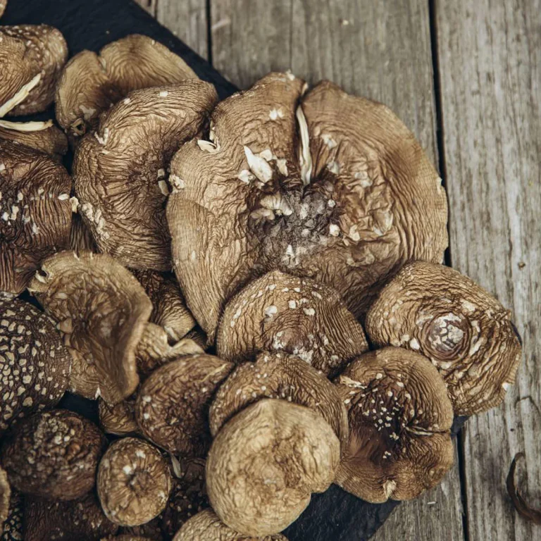 Мухомор пантерний та їжовик гребінчастий: кому слід звернути на них увагу