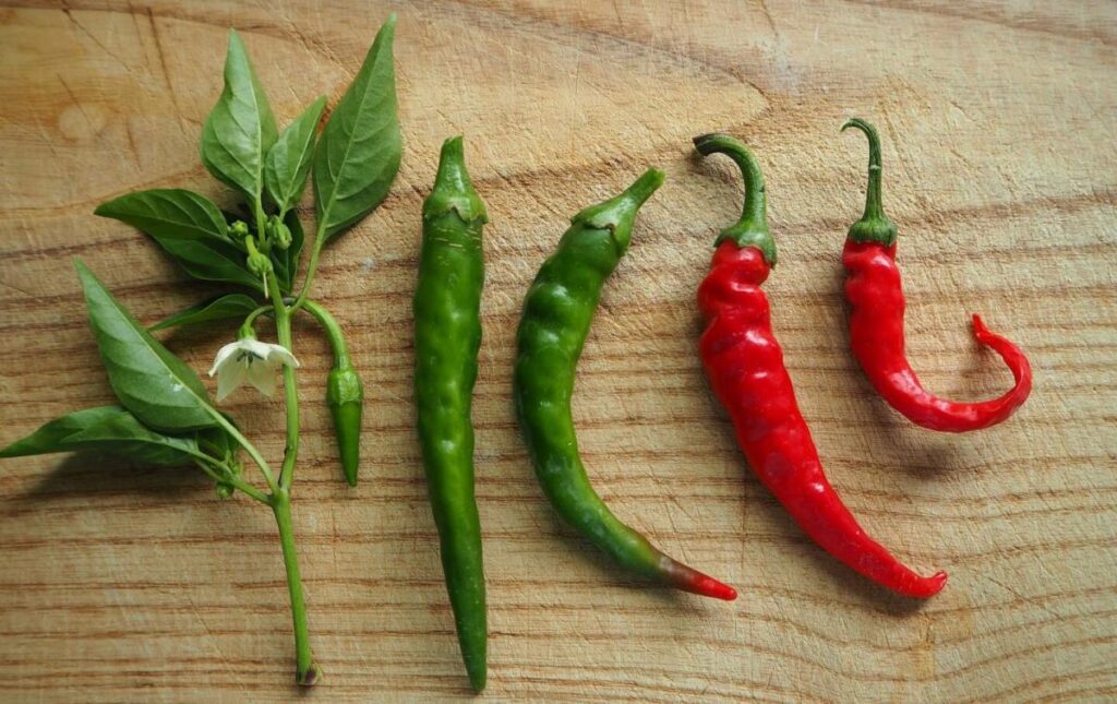 Пекуча сила капсаїцину: як гострий смак змінює нас