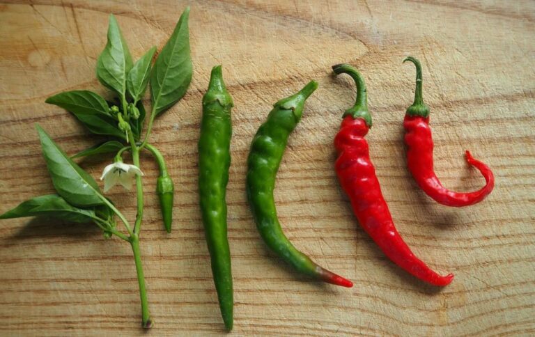Пекуча сила капсаїцину: як гострий смак змінює нас