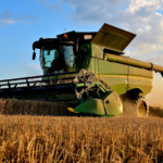 Чому “економія” в агро — часто найдорожча помилка